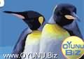 Acrobat
Penguins click to play game