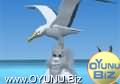 Penguin of Albatros
vehicle click to play game