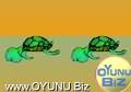 Tortoise
Bridge click to play game