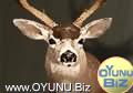 Deer
Hunt click to play game