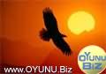 Flying
bird click to play game