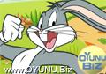 Bugs Bunny Carrot
Gather click to play game